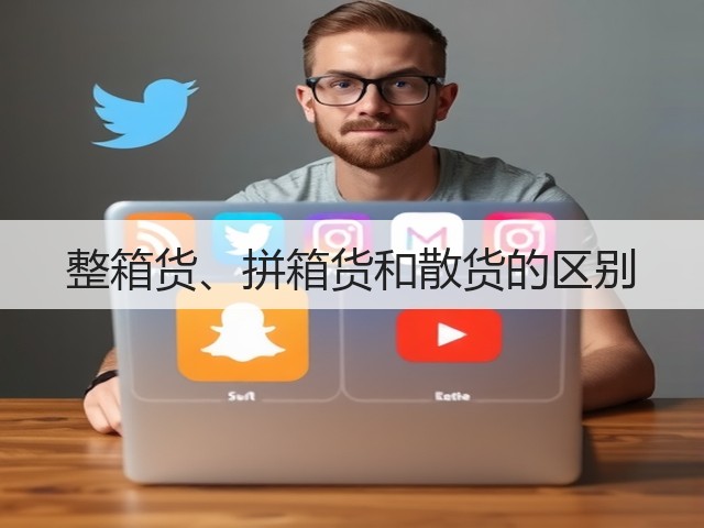 整箱货、拼箱货和散货的区别(图3)