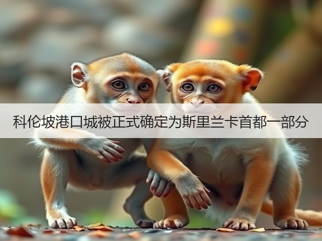 科伦坡港口城被正式确定为斯里兰卡首都一部分(图3) 科伦坡港口城被正式确定为斯里兰卡首都一部分(图3)