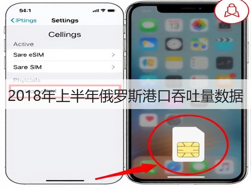 2018年上半年俄罗斯港口吞吐量数据