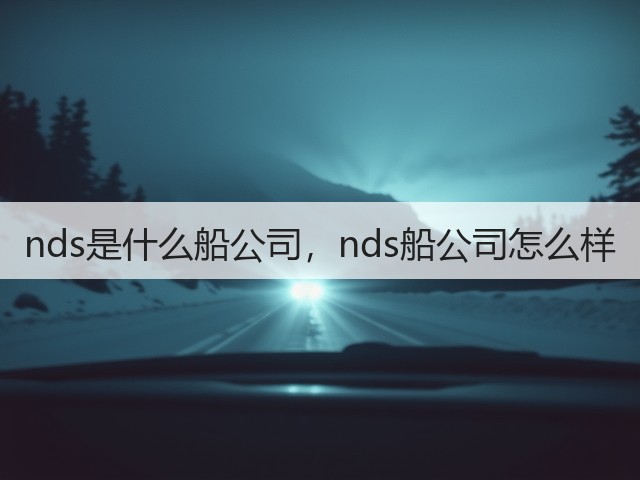nds是什么船公司,nds船公司怎么样(图3) nds是什么船公司,nds船公司怎么样(图3)