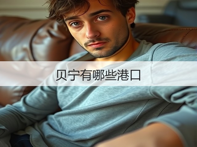 贝宁有哪些港口(图2)