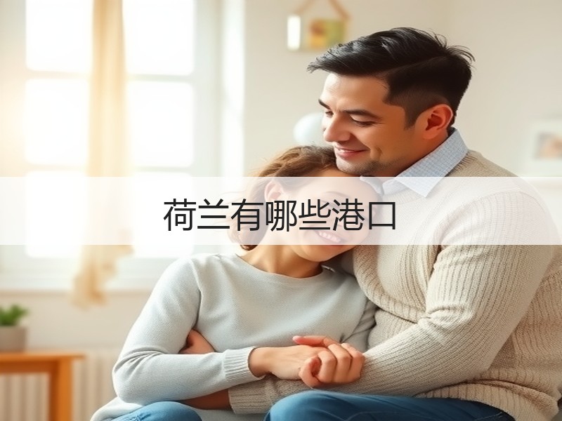 荷兰有哪些港口