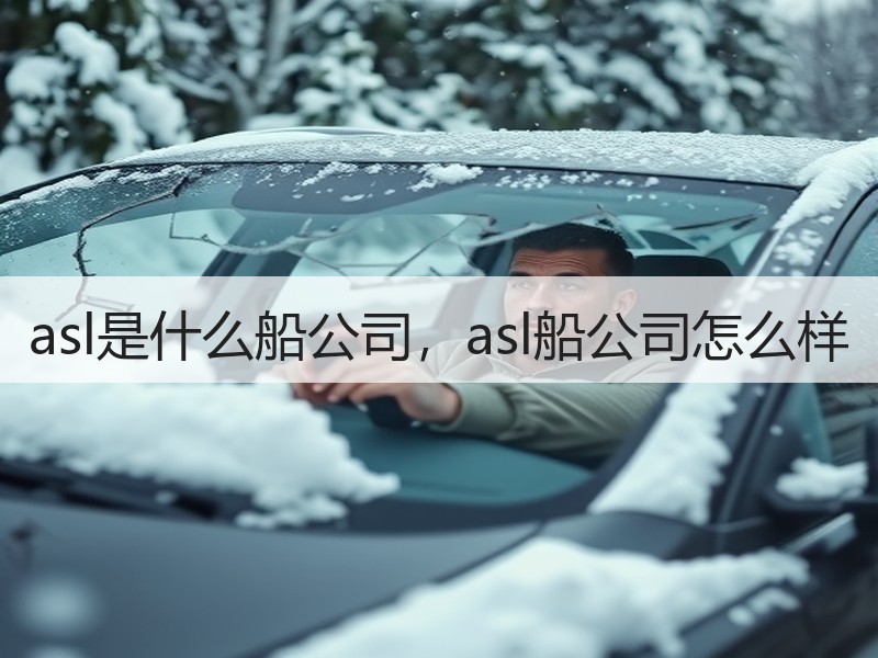 asl是什么船公司，asl船公司怎么样