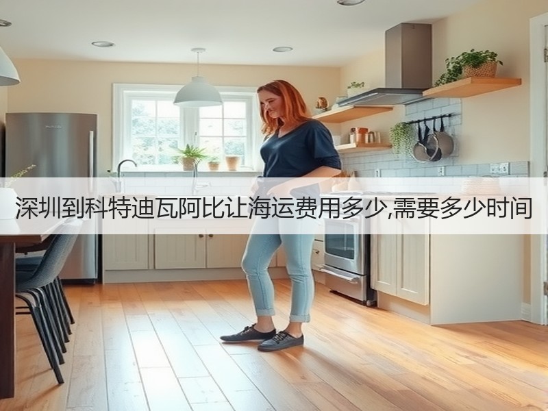 深圳到科特迪瓦阿比让海运费用多少,需要多少时间