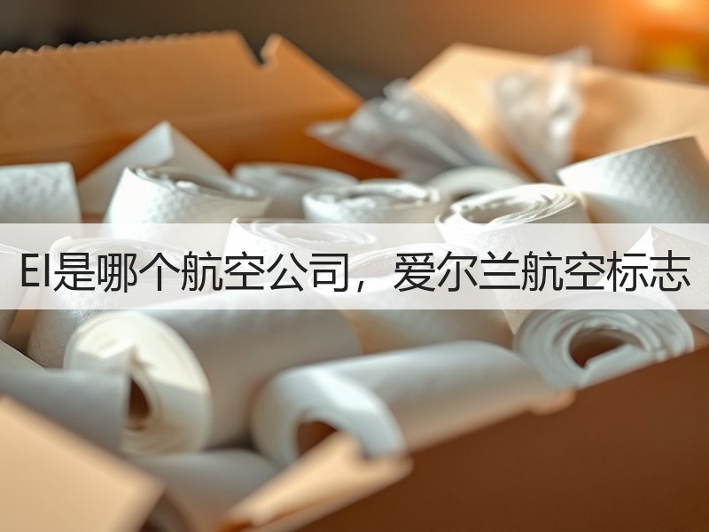EI是哪个航空公司，爱尔兰航空标志