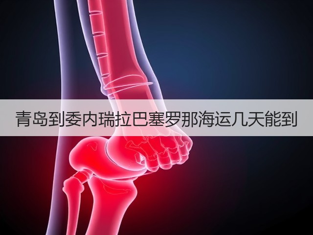 青岛到委内瑞拉巴塞罗那海运几天能到(图3) 青岛到委内瑞拉巴塞罗那海运几天能到(图3)