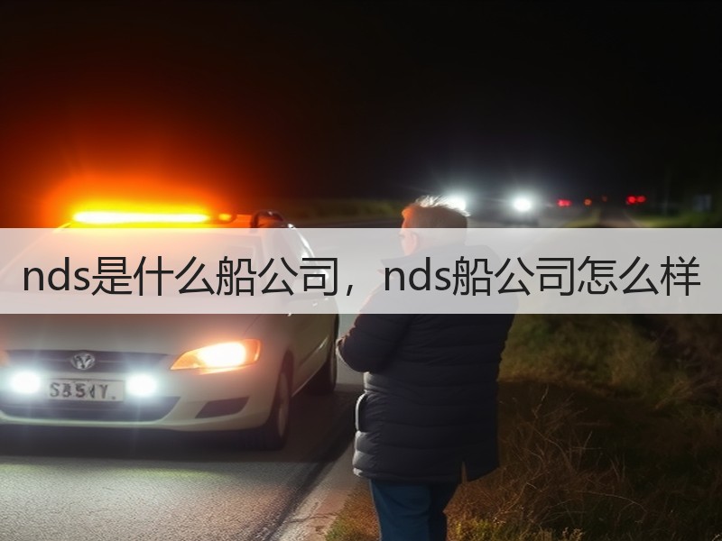 nds是什么船公司，nds船公司怎么样
