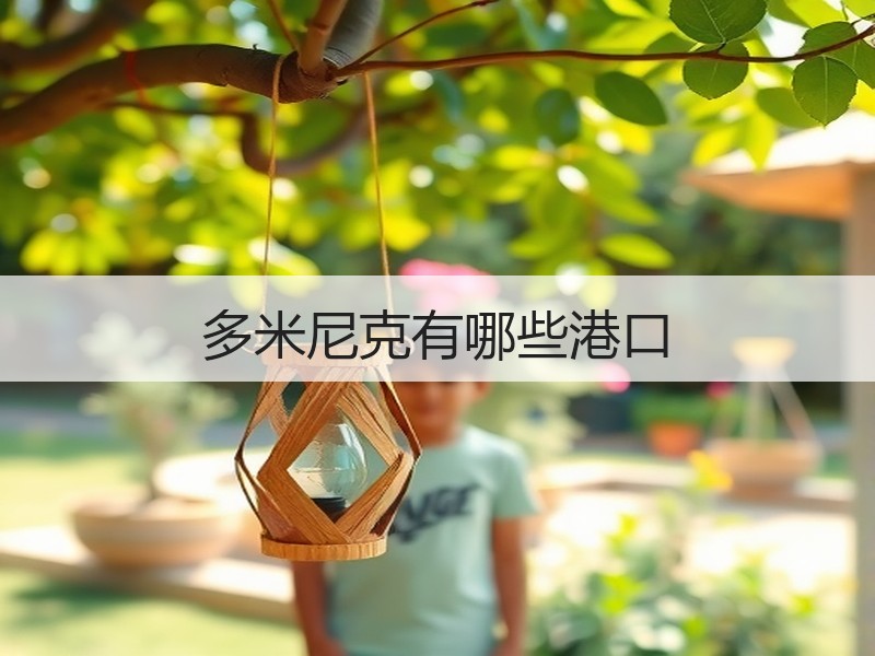 多米尼克有哪些港口