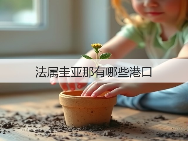 法属圭亚那有哪些港口(图3)