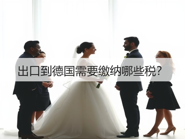 出口到德国需要缴纳哪些税？(图1)