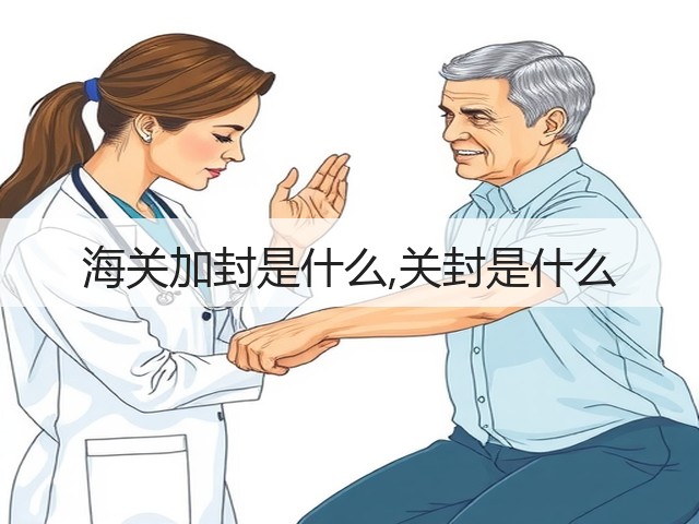 海关加封是什么,关封是什么(图3) 海关加封是什么,关封是什么(图3)