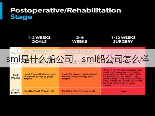 sml是什么船公司,sml船公司怎么样(图2) sml是什么船公司,sml船公司怎么样(图2)